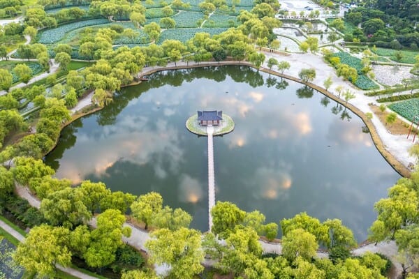 궁남지 전경 궁남지 전경
