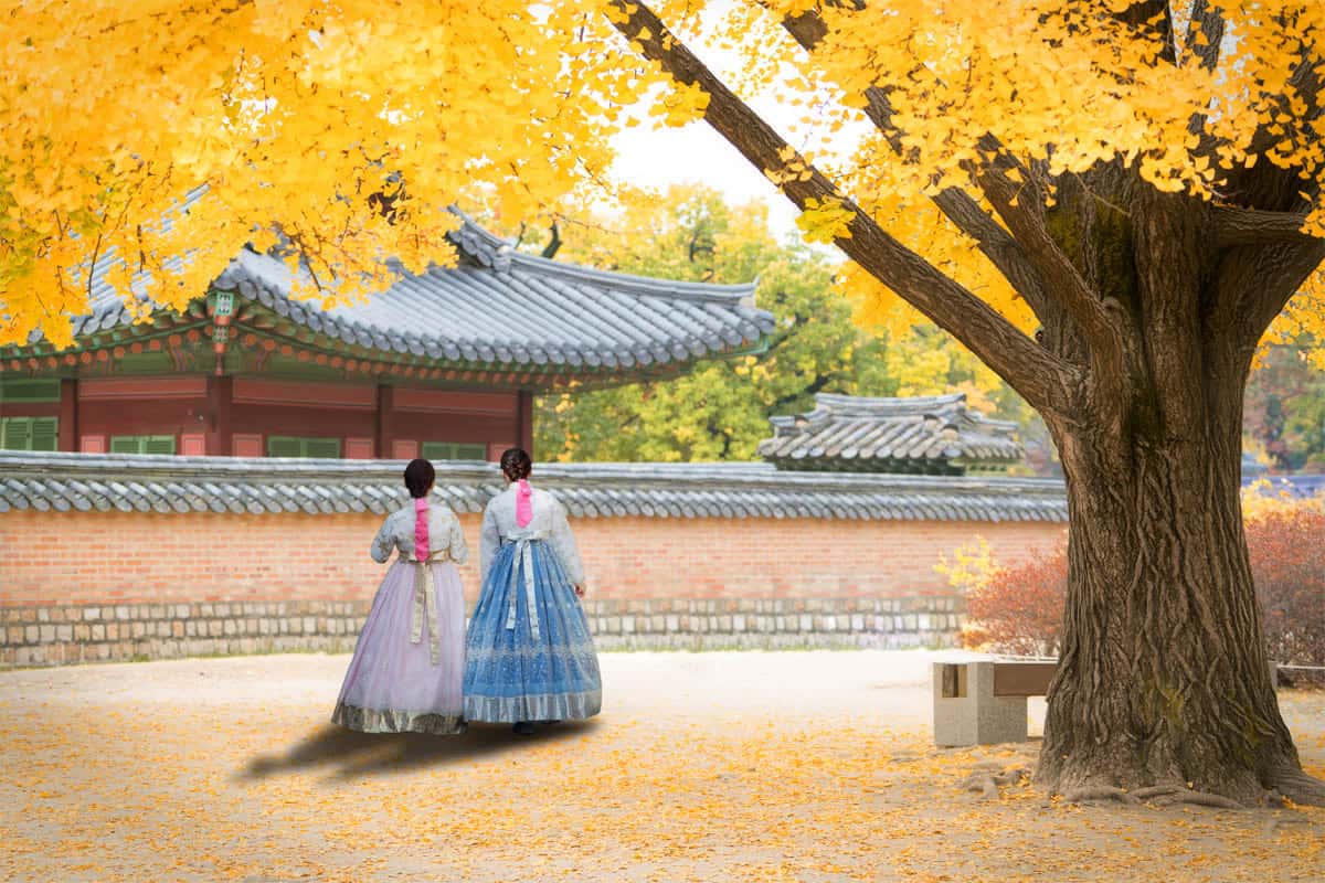 전국 설날맞이 특별 행사 모음 전국 설날맞이 특별 행사 모음