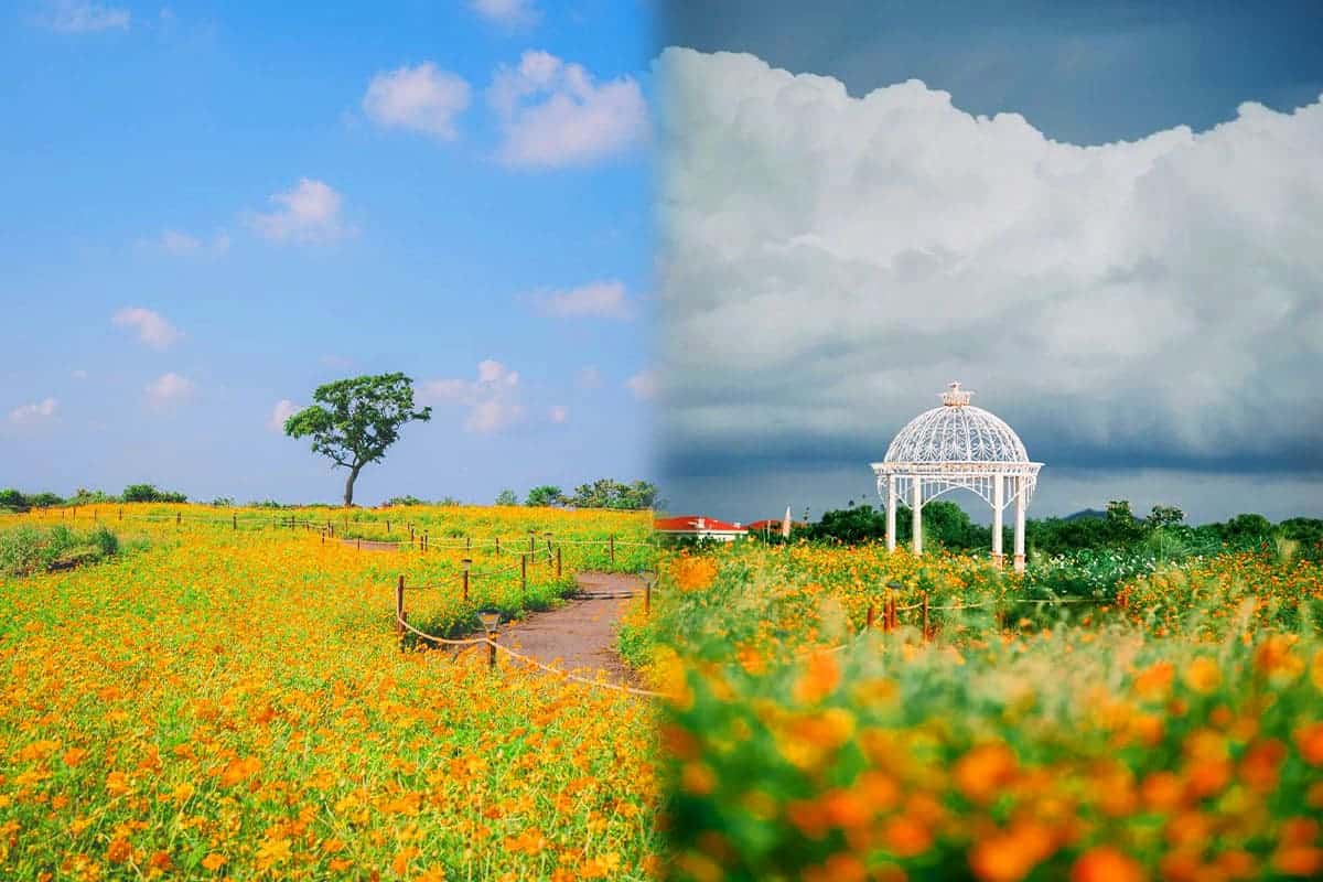 신화가든 풍경 신화가든 풍경