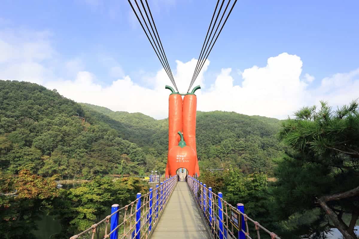 천장호 출렁다리 천장호 출렁다리