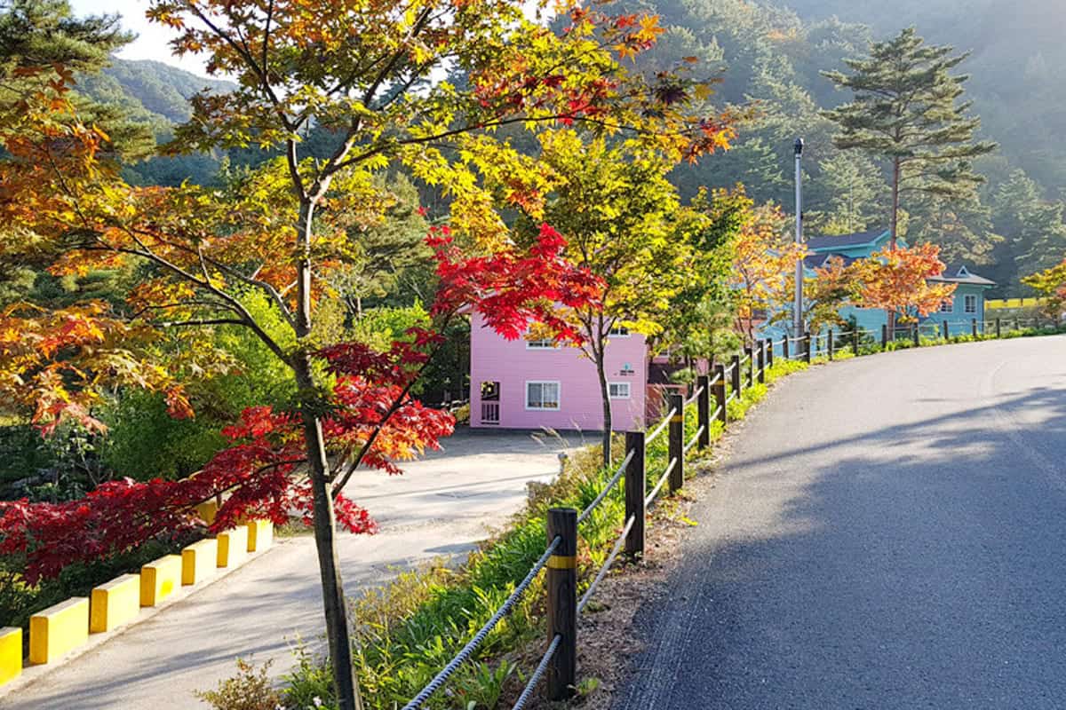 검봉산 자연휴양림 산책로 검봉산 자연휴양림 산책로