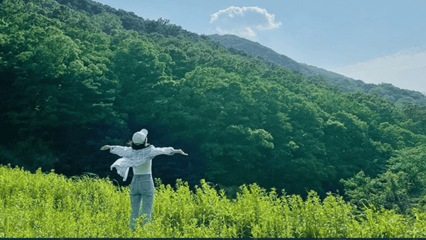 국립 김천 치유의 숲 / 사진=국립김천치유의숲 홈페이지