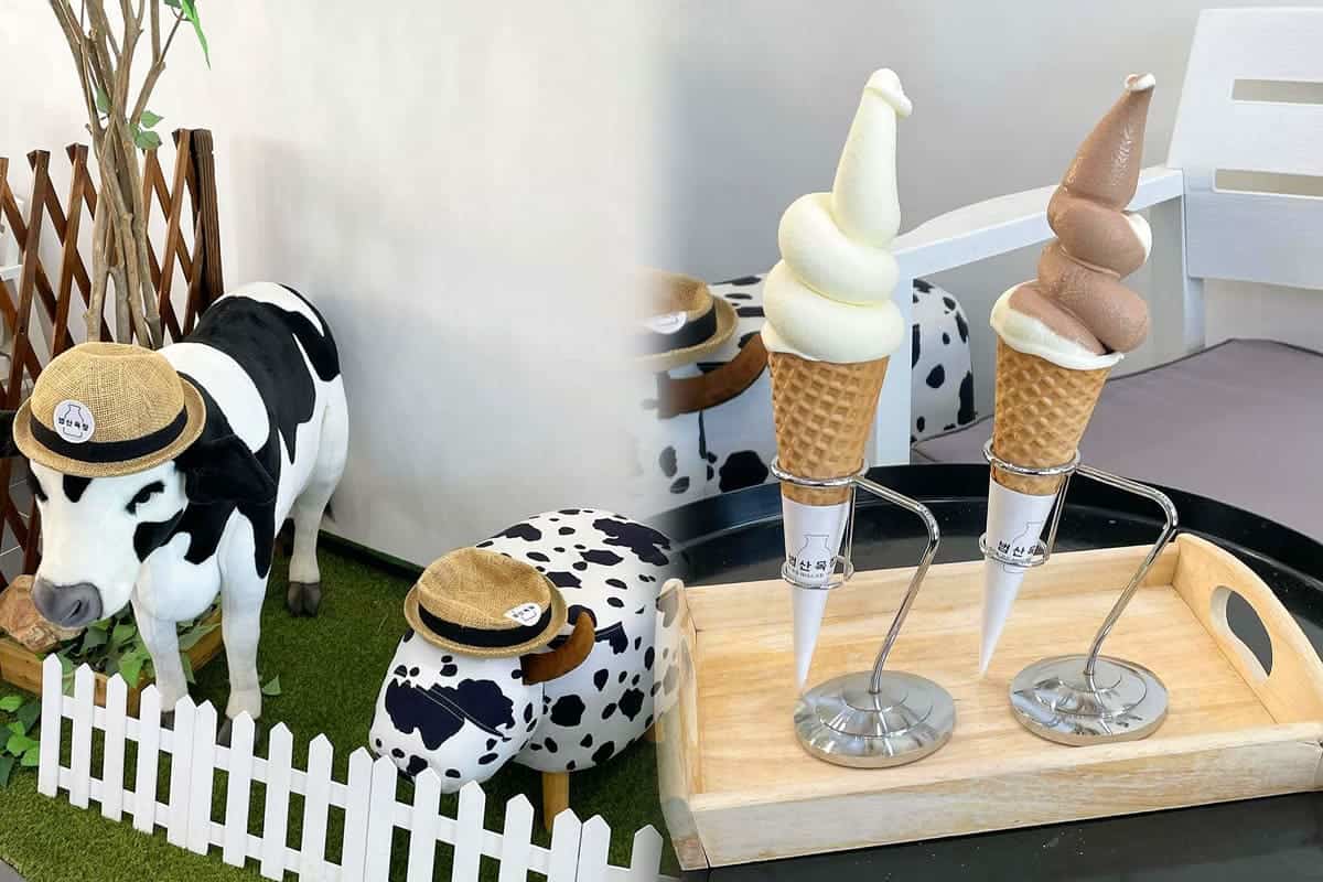 범산목장 내부, 아이스크림 범산목장 내부, 아이스크림