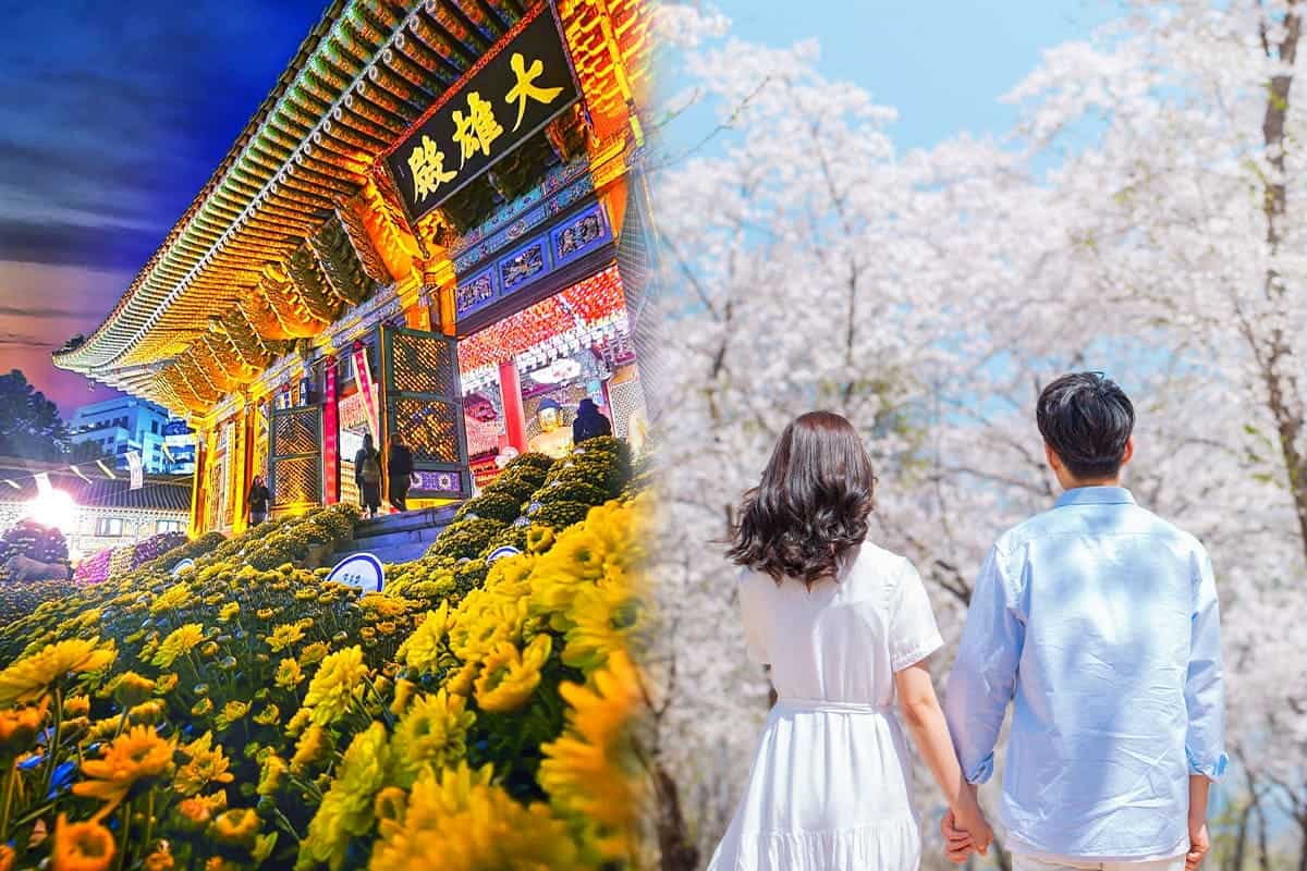 조계사, 봄의 연인 조계사, 봄의 연인
