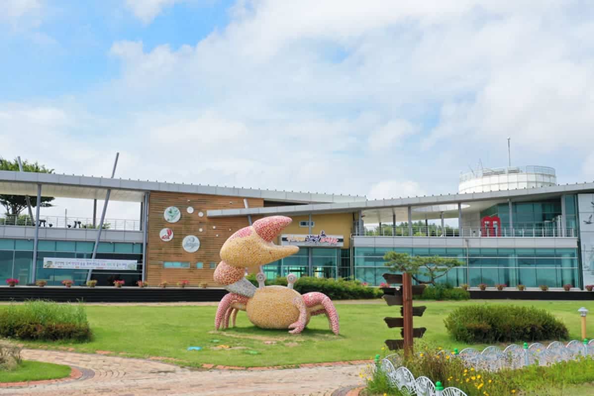 무안 황토갯벌랜드 무안생태갯벌과학관 무안 황토갯벌랜드 무안생태갯벌과학관
