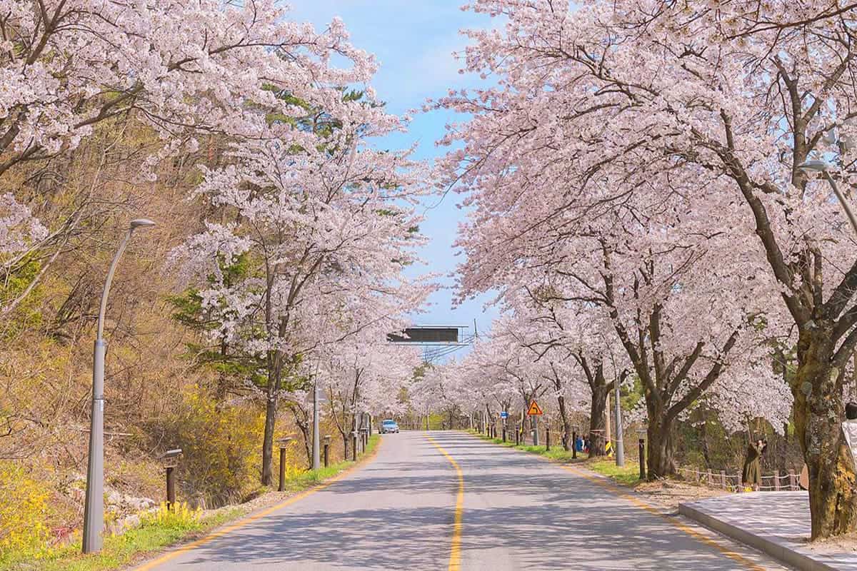 설악산 풍경 설악산 풍경