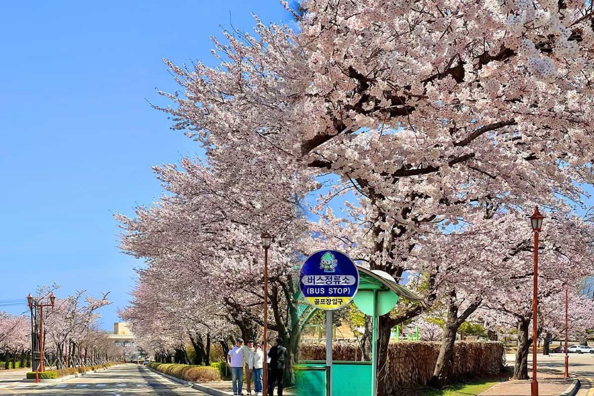 한화리조트 설악 풍경 한화리조트 설악 풍경