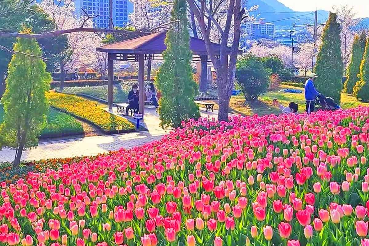 독봉산웰빙공원 풍경 독봉산웰빙공원 풍경