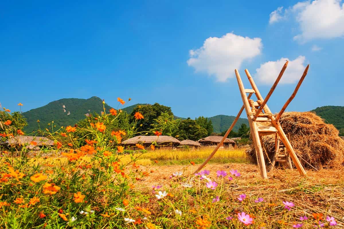 외암민속마을 풍경 