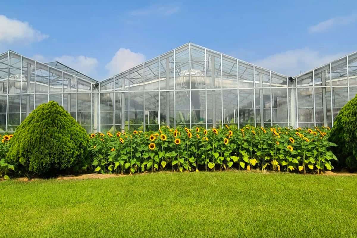 세계꽃식물원 마당 