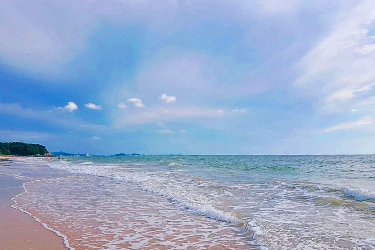 대천해수욕장 바다 