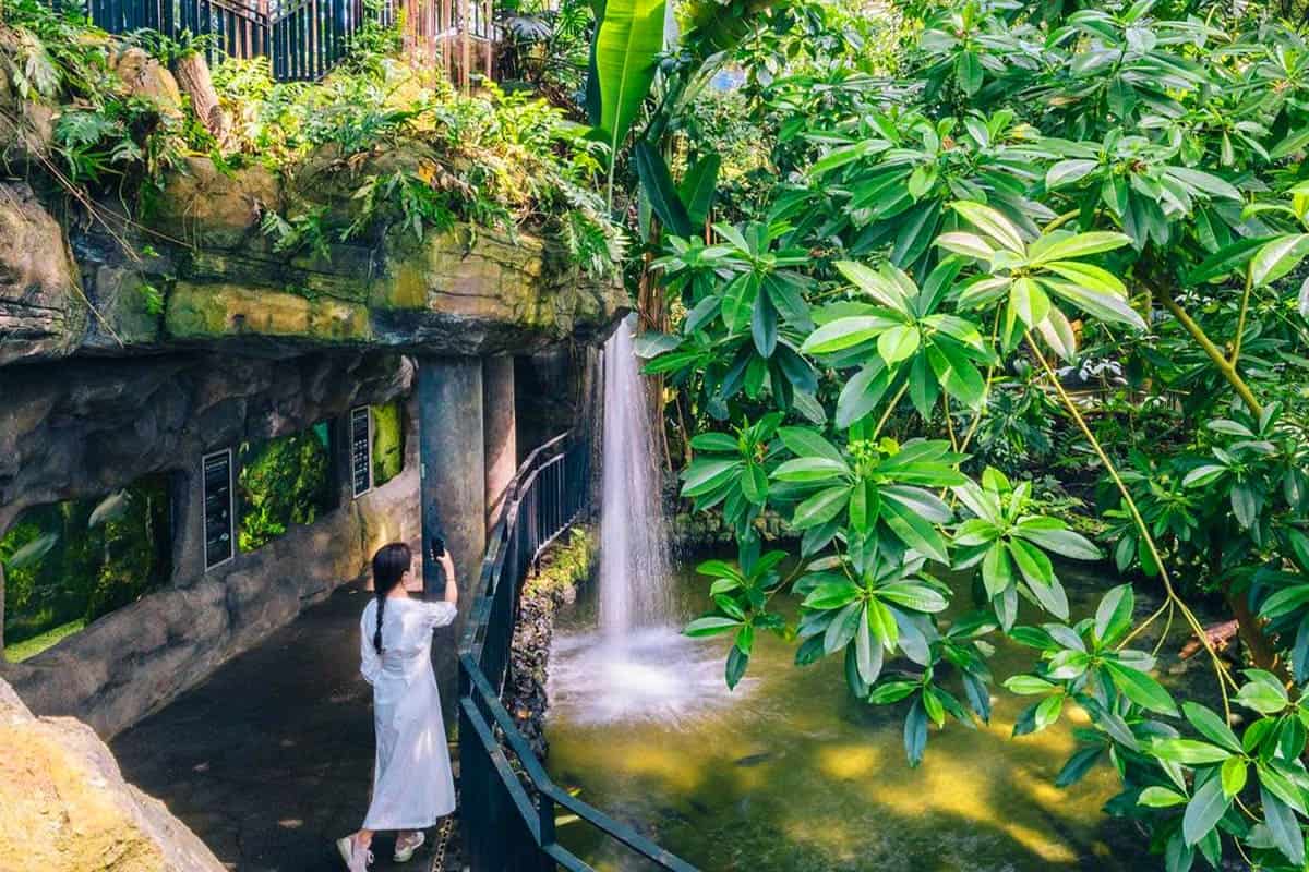 국립생태원 식물원 