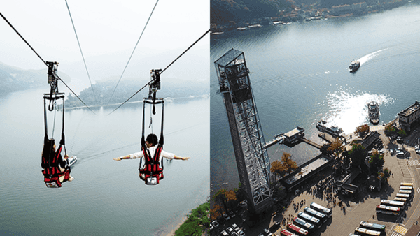 가평 남이섬 짚라인 / 사진=zipwire.co.kr 가평 남이섬 짚라인 / 사진=zipwire.co.kr