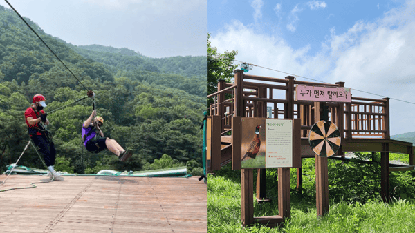 용인 짚라인 / 사진=짚라인코리아? 용인 짚라인 / 사진=짚라인코리아?