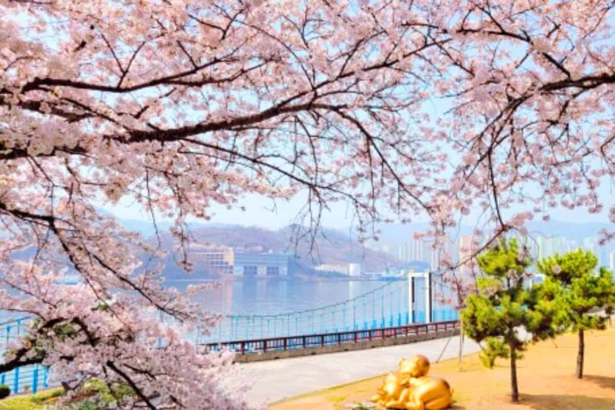 돝섬 풍경 