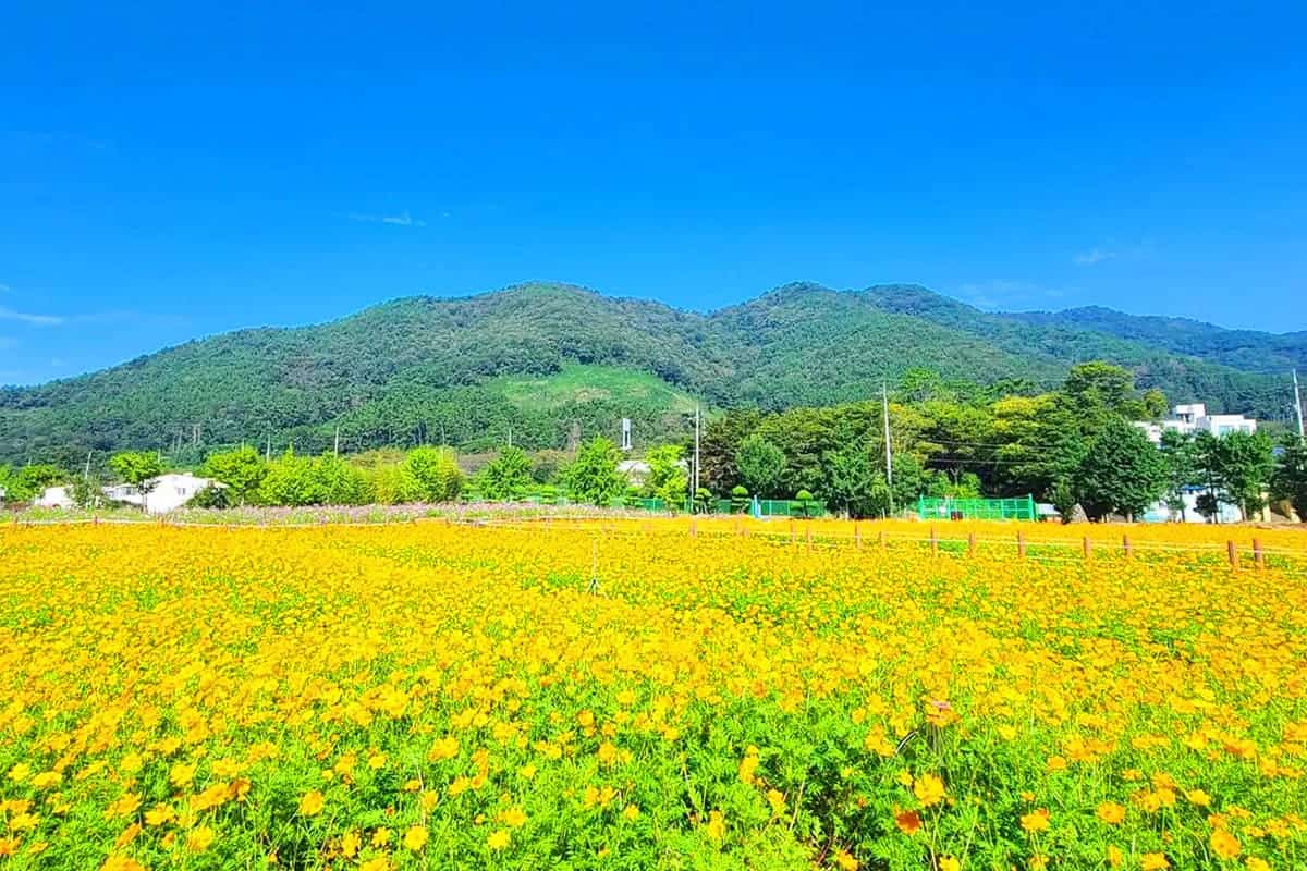 마산해양신도시 풍경 