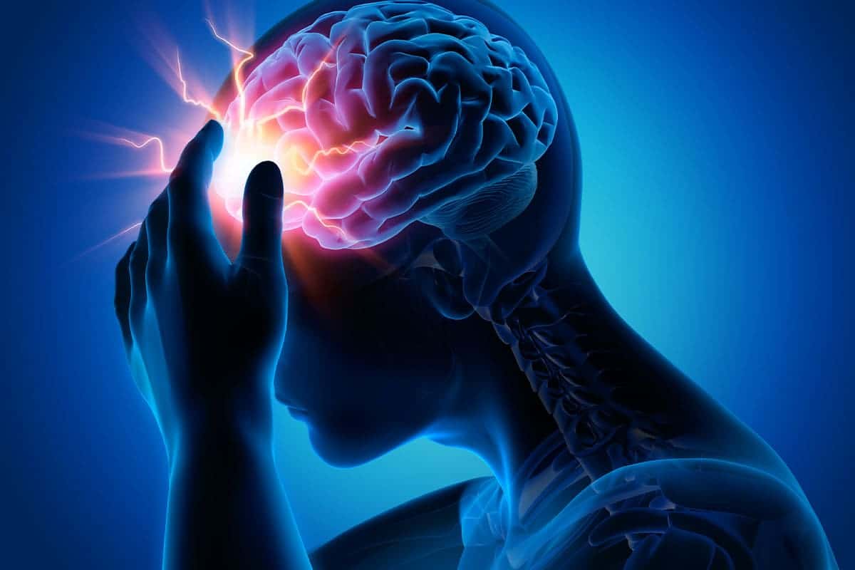 뇌 질병 뇌 질병