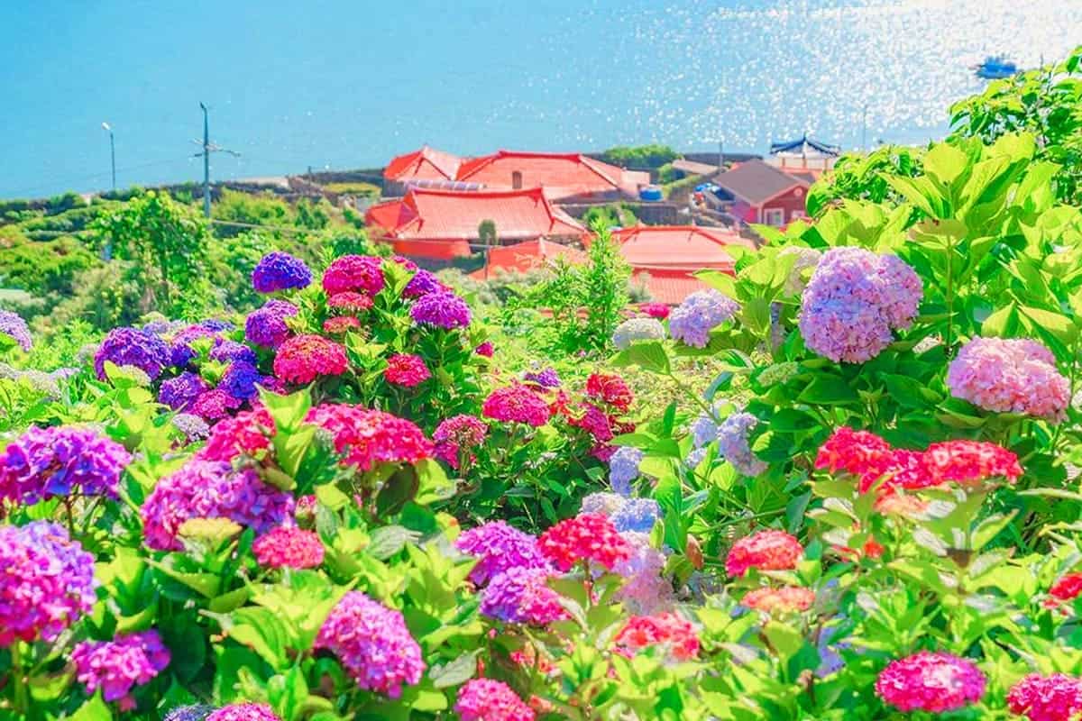 쑥섬 풍경 쑥섬 풍경
