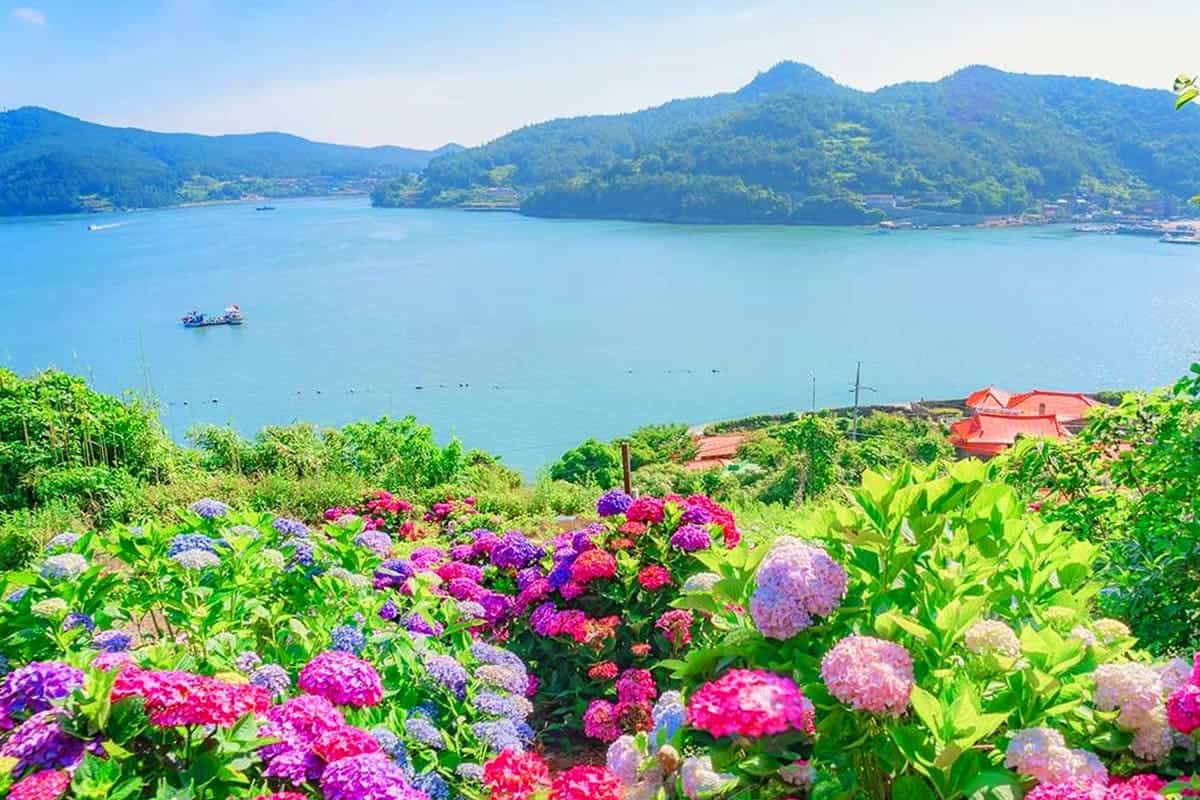 쑥섬 전경 쑥섬 전경