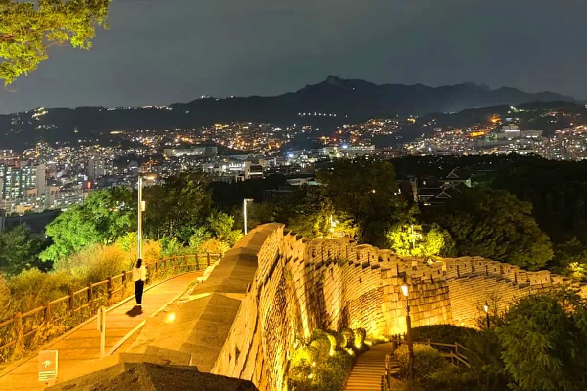 낙산공원 야경 낙산공원 야경