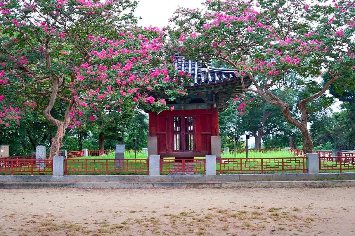 오목대 풍경 / 사진=온라인커뮤니티