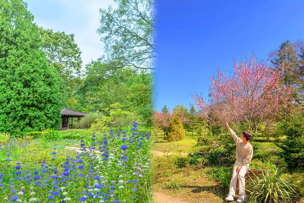 국립수목원 풍경 국립수목원 풍경