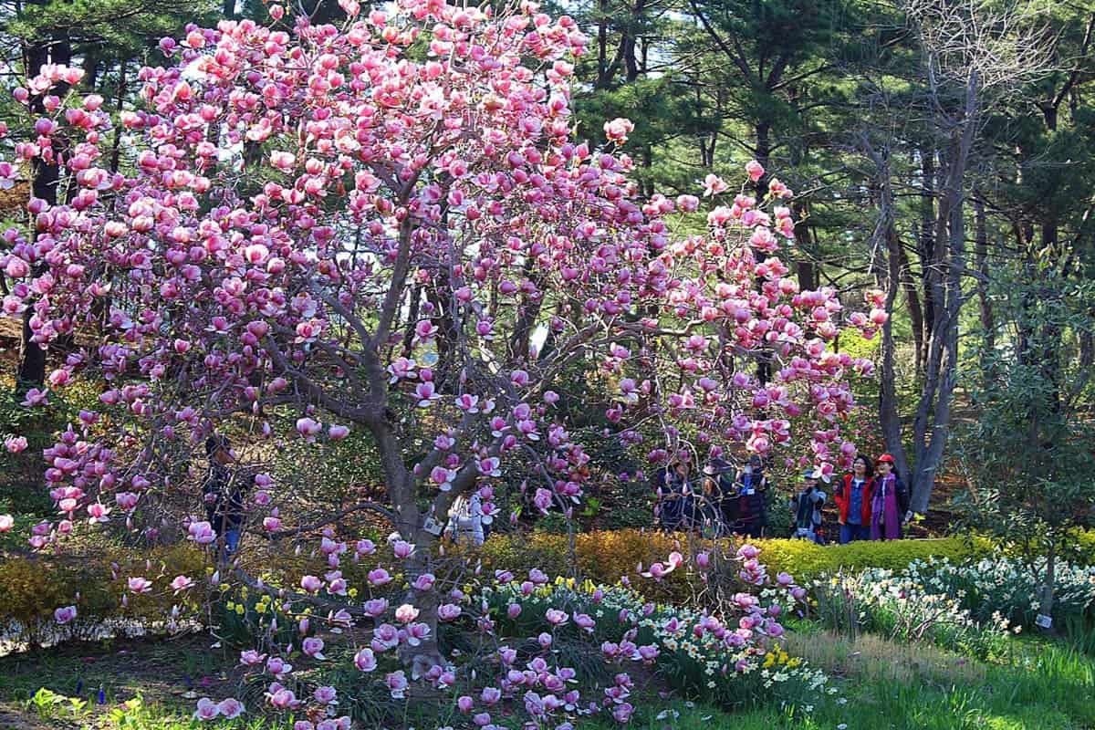 천리포수목원 풍경 / 사진=온라인커뮤니티 천리포수목원 풍경 / 사진=온라인커뮤니티