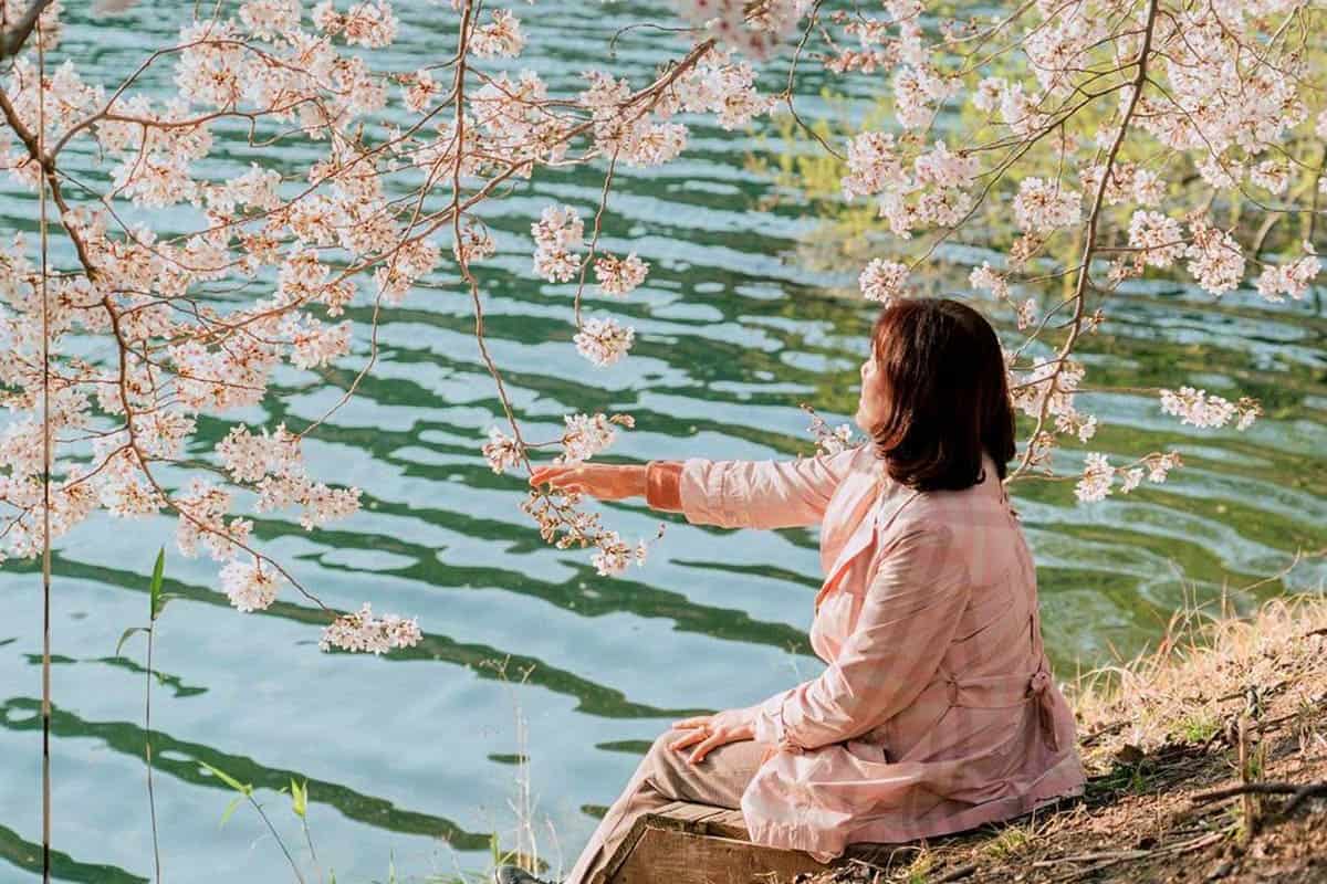 선암호수공원 풍경 선암호수공원 풍경