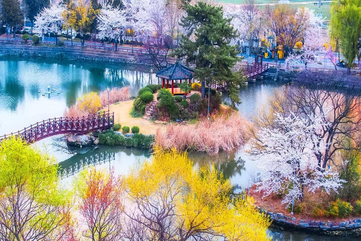 연지못 봄 전경 연지못 봄 전경