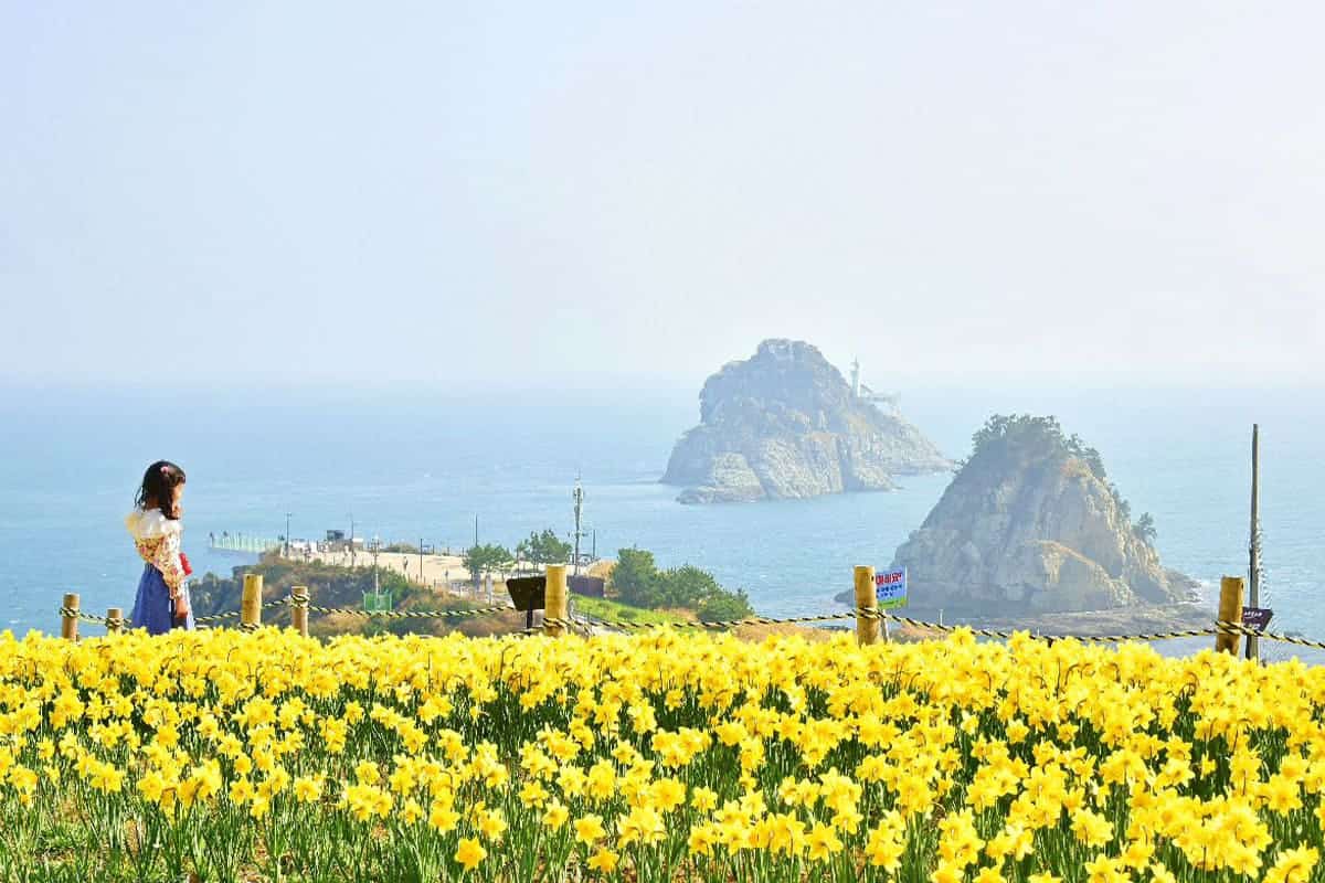 오륙도 해맞이공원 풍경 오륙도 해맞이공원 풍경