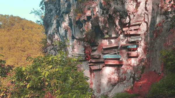 사가다 공원묘지 /사진=온라인커뮤니티 사가다 공원묘지 /사진=온라인커뮤니티