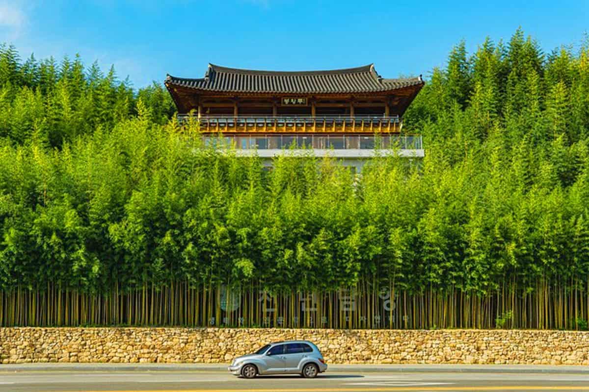 담양관방제림 풍경  