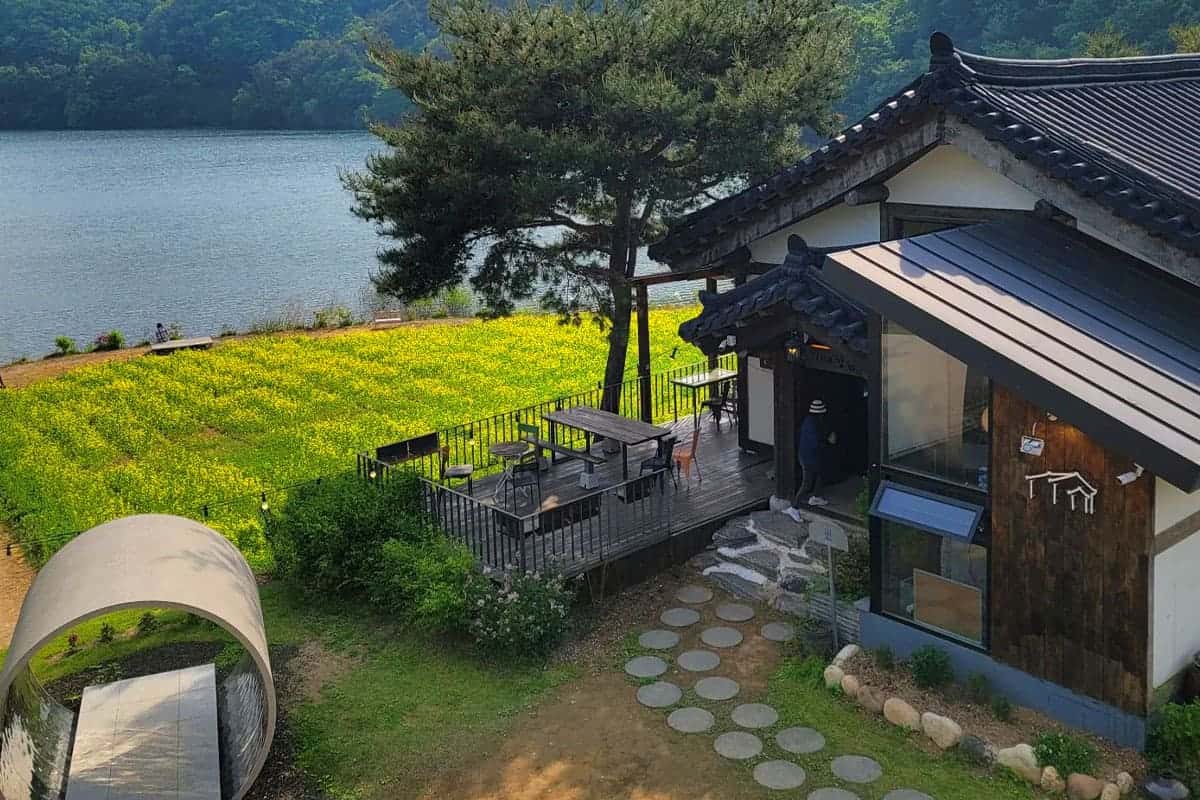 호수정감 전경 