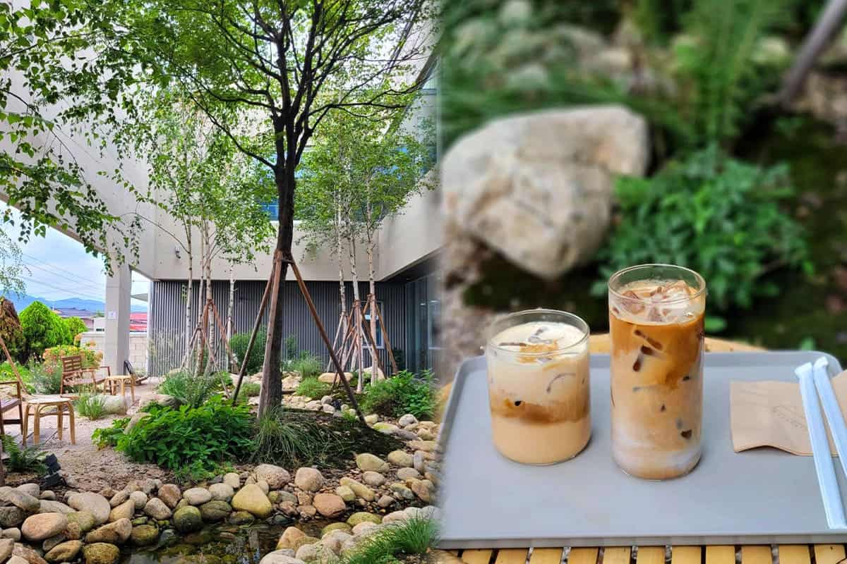 온스어폰어네이처 정원, 커피  
