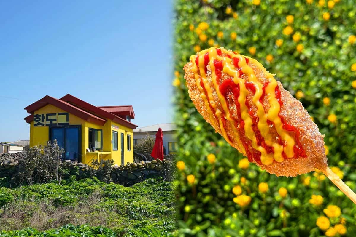 가파도 핫도그 가파도 핫도그