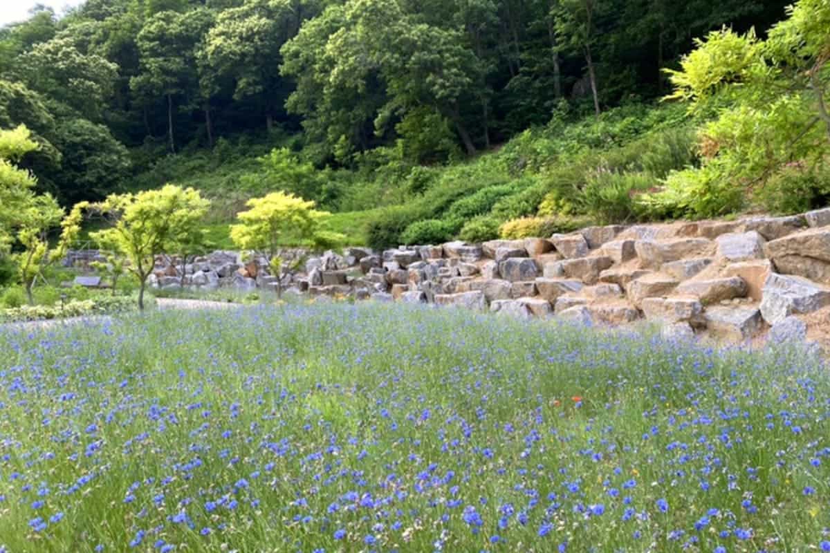 율곡습지공원 풍경  