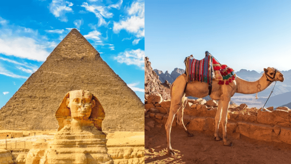 이집트 치안, 사기 / 사진=온라인커뮤니티? 이집트 치안, 사기 / 사진=온라인커뮤니티?