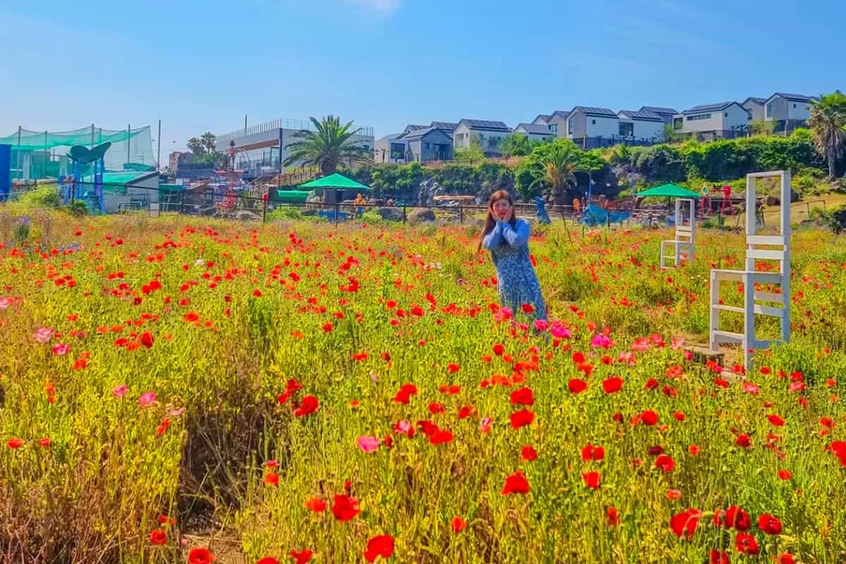 산방산랜드 풍경 산방산랜드 풍경
