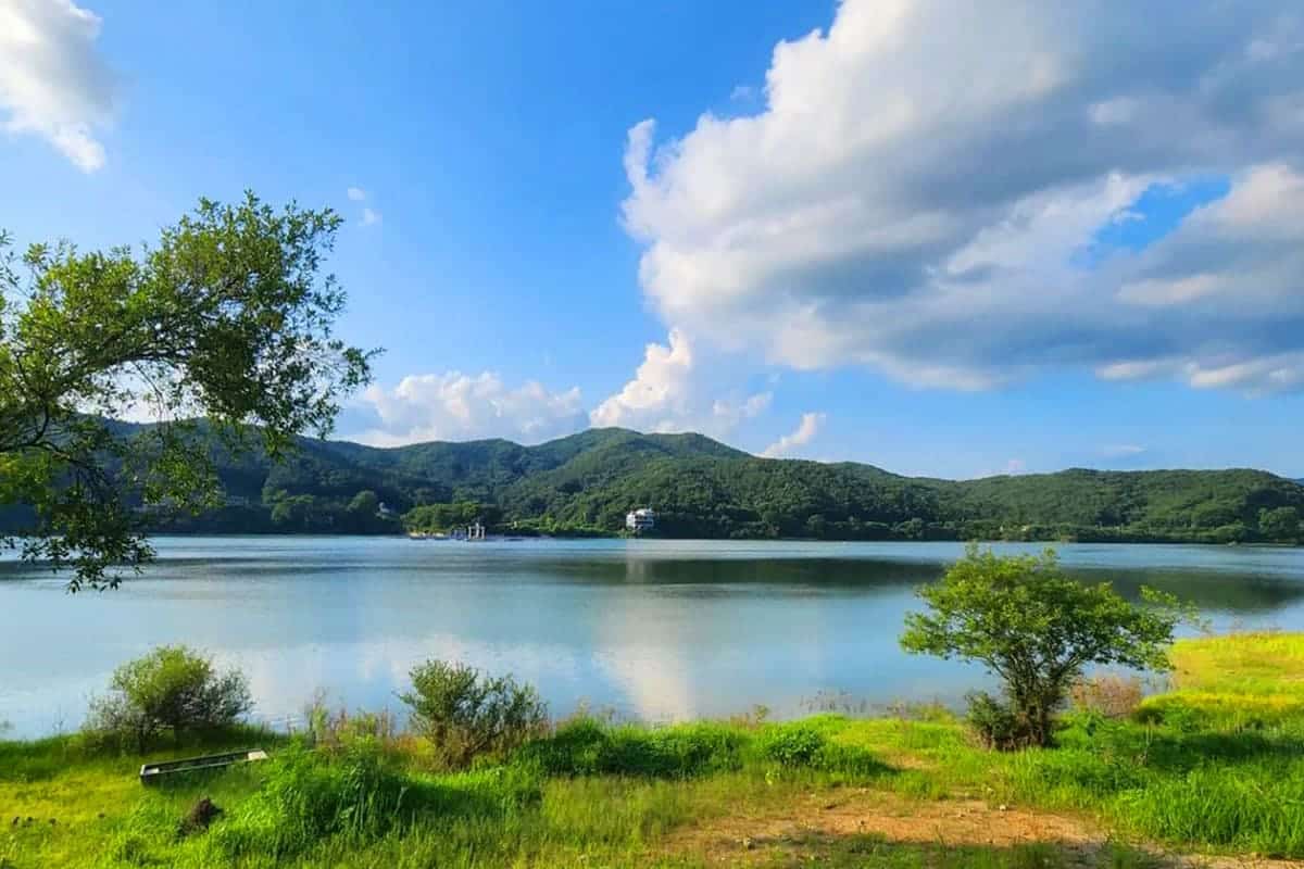금광호수 전경 / 사진=온라인커뮤니티 금광호수 전경 / 사진=온라인커뮤니티