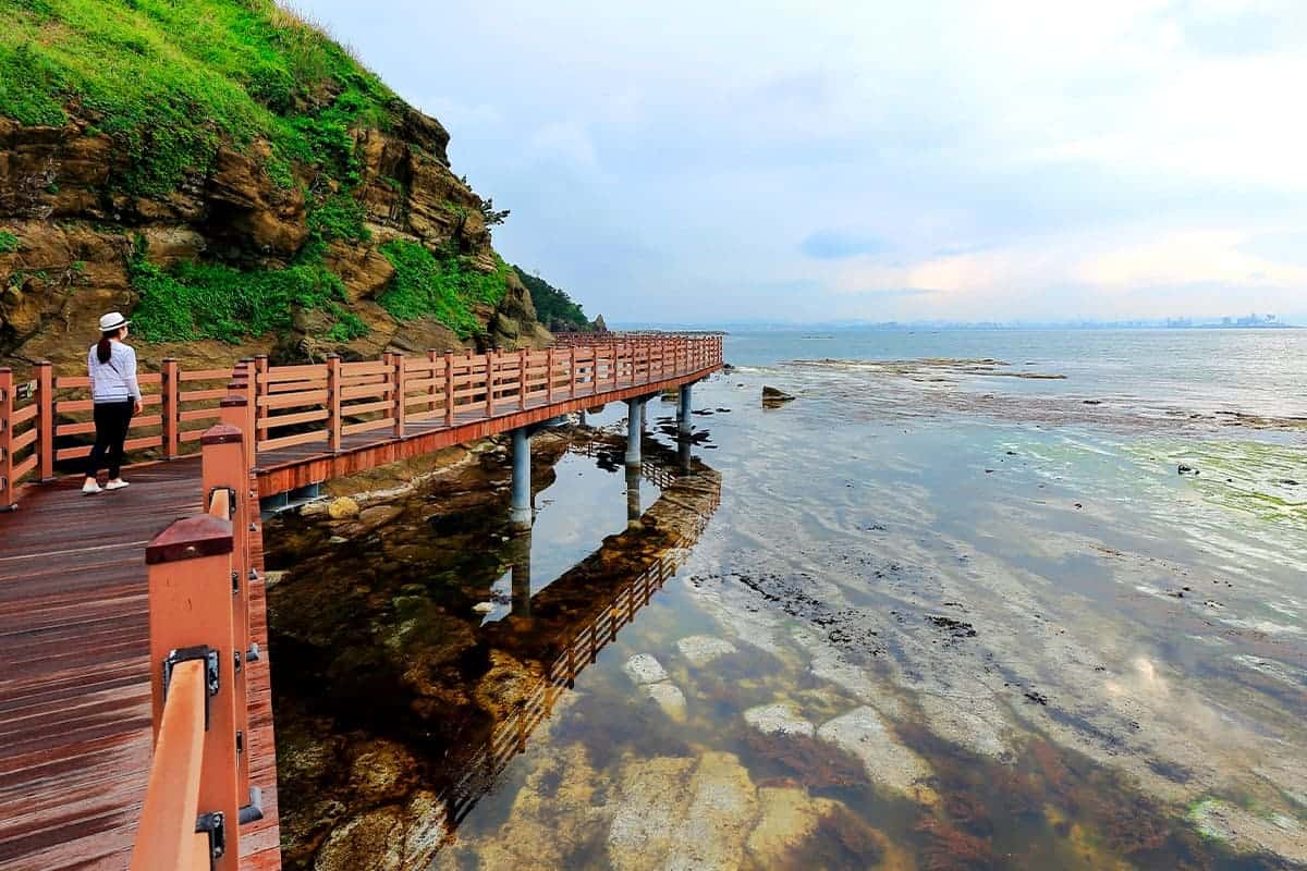 호미반도 해안둘레길 풍경 