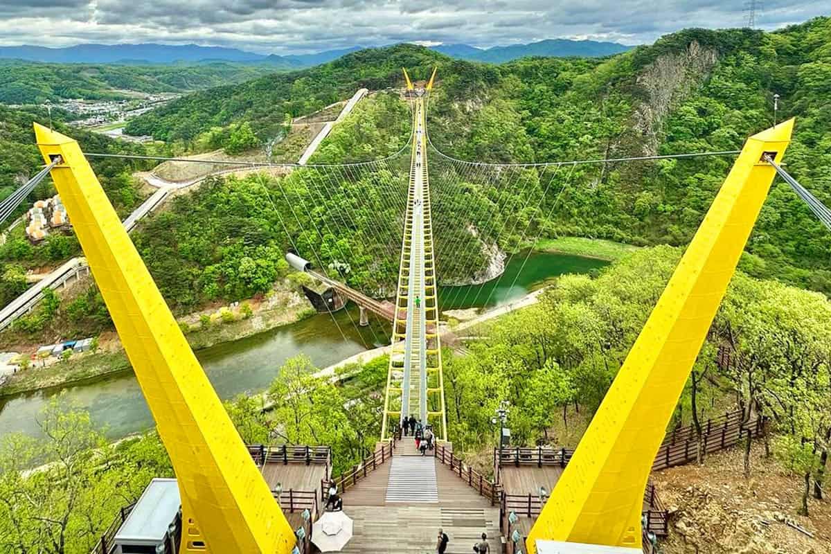 소금산그랜드밸리 출렁다리 전경 소금산그랜드밸리 출렁다리 전경