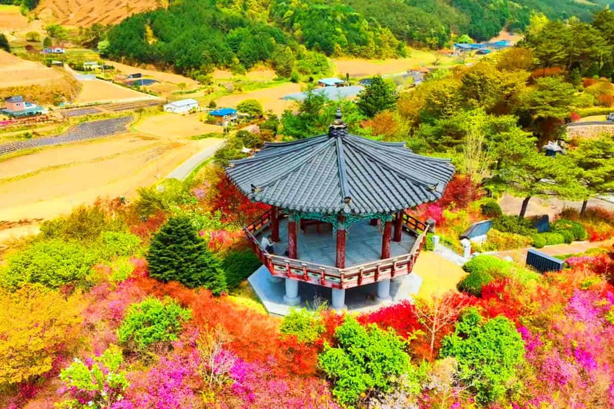 무궁화수목원 봄 전경 무궁화수목원 봄 전경