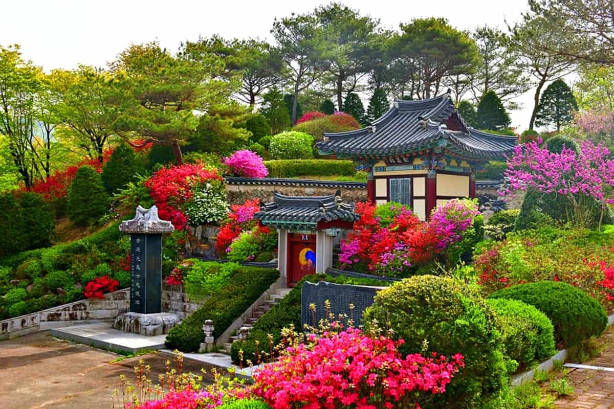 척야산문화수목원 봄 풍경 척야산문화수목원 봄 풍경