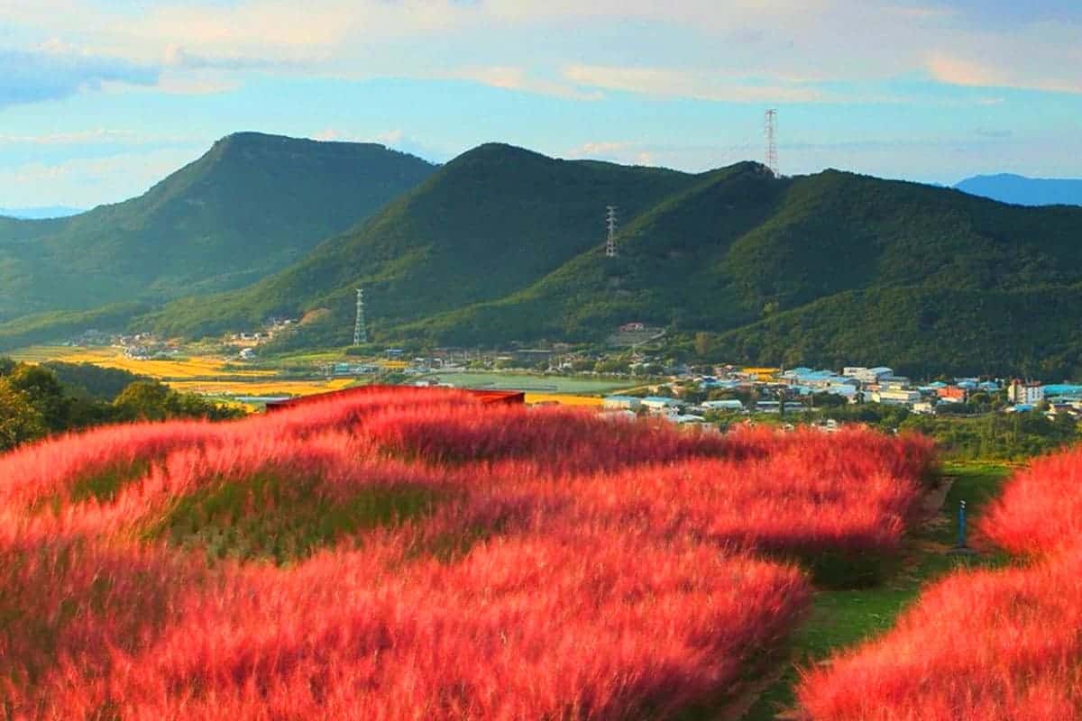 가산수피아 전경 가산수피아 전경