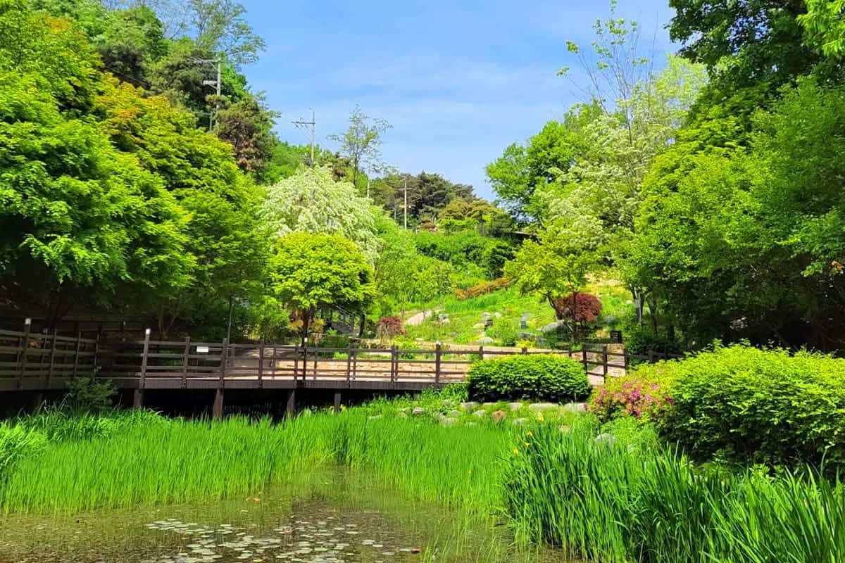 아차산 어울림정원 녹음 