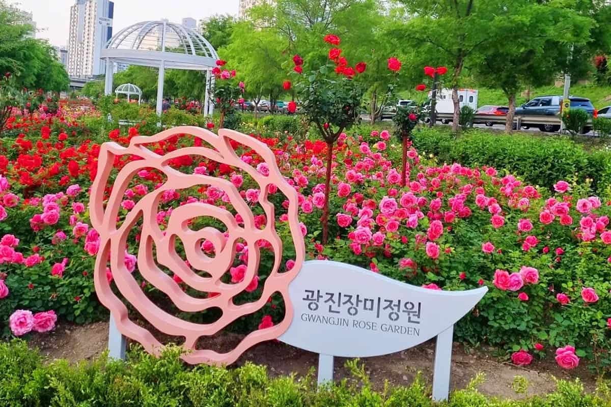광진장미정원 입구 
