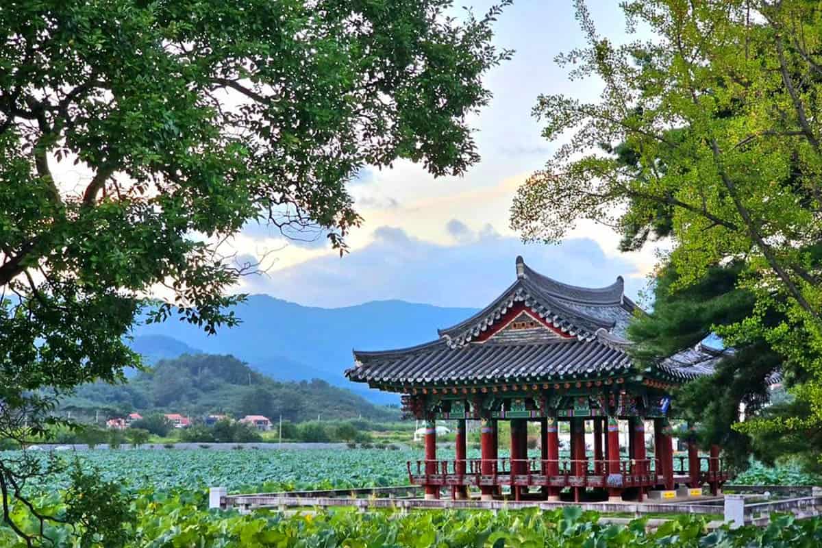 유등지 풍경 유등지 풍경