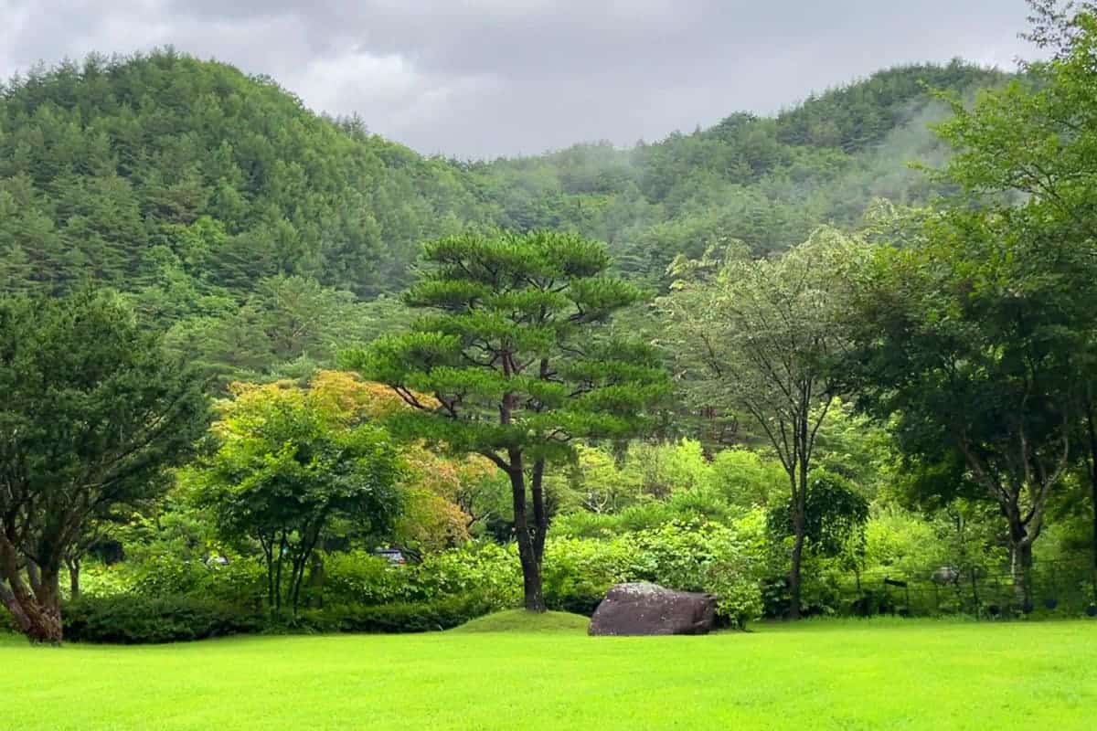 국립한국자생식물원 풍경  