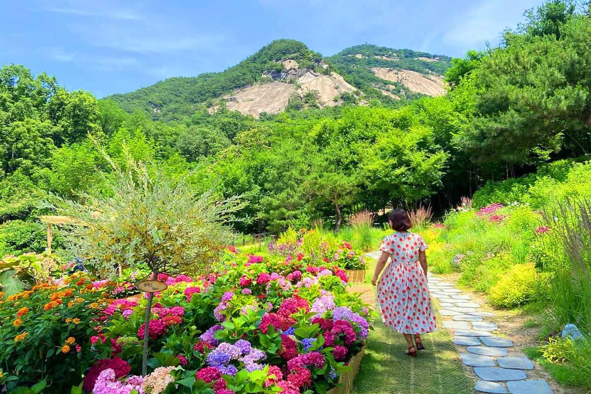 카페포레스트 정원 카페포레스트 정원