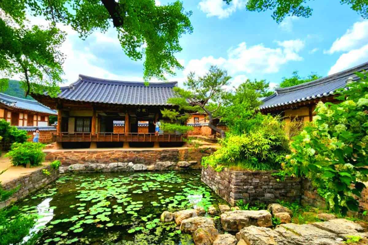서석지 풍경 서석지 풍경